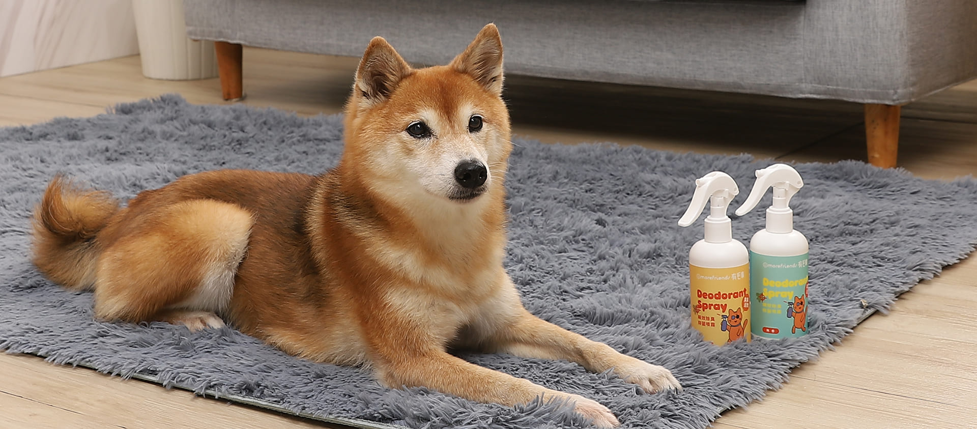 寵物_用品_攝影_：_柴_犬_與_寵物_除_臭_噴_霧_的_生活_風格_形象_照